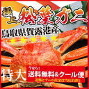 松葉蟹(鳥取松葉ガニ/松葉蟹)活生orボイル 900〜990...
