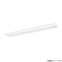 XLX430RKNTLE9(NNLK41719J+NNL4300KNT LE9)XLX430RKNT LE9 LEDベースライト セット パナソニック