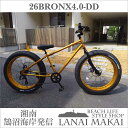 【MODEL】“26inch-BRONX4.0-DD FAT-BIKES”“湘南鵠沼海岸発信”26inch外装7段変速付きファットバイクCOLOR:ゴールド×ゴールドリム自転車 ファットバイク メンズ レディース 26インチ 変速付 レインボー BRONX