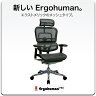 エルゴヒューマンプロ ハイブリッド Ergohuman pro【正規販売代理店】 エルゴヒューマン 肘付 ヘッドレスト有 EHP-HAM オフィスチェア 送料無料 月の恋人 ブラッディマンディミスターブレイン 使用モデル【smtb-k】【w2】【YDKG-tk】【sybp】【w2】【2010_野球_sale】