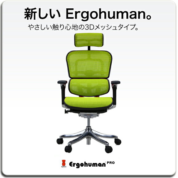 Ergohuman Plus エルゴヒューマンプロ ハイブリッド【正規販売代理店】 3Dメッシュ 肘付 ヘッドレスト有 EHP-HAM KMD オフィスチェア 回転チェア　 送料無料 ％OFF 円高還元 新作 送料無料 02P1Aug12 セール