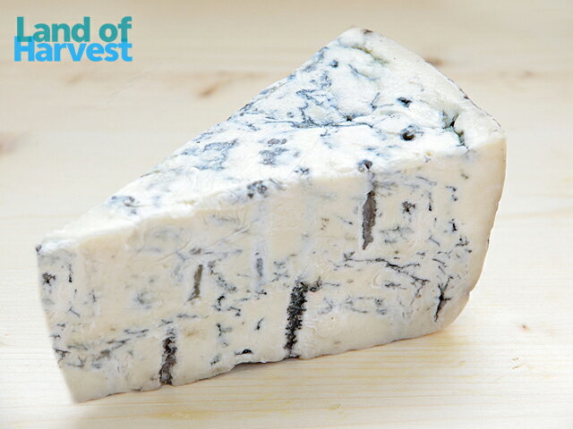 イタリア ゴルゴンゾーラ ピカンテ D.O.P. 約500gカット 不定貫(税抜385円/100gで再計算) ランキングお取り寄せ