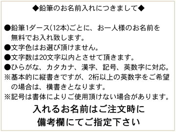 名入れ無料☆カラフルねーむ鉛筆自分の名前がカラフルに!ラピスオリジナル名入れ鉛筆シリーズ