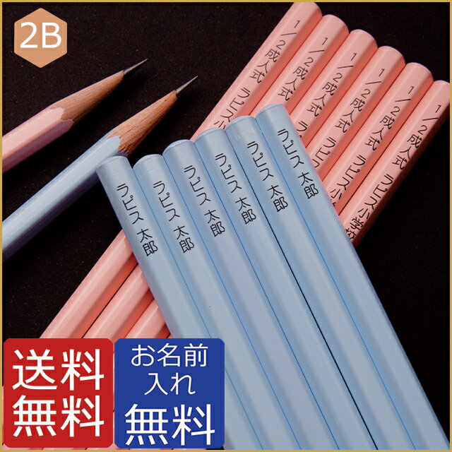 鉛筆・名入れ無料　パステルカラー鉛筆2B　シンプルな無地鉛筆・かわいいパステル色なので名前…...:lapiz:10005867