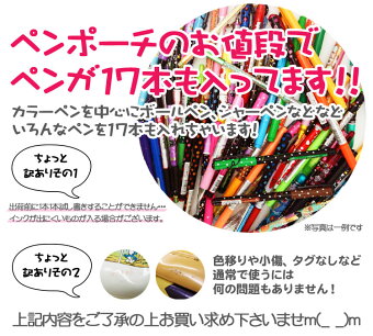 【12/10以降〜出荷】【お1人様1セット限り】【訳あり】【福袋・ラッピング不可】●2021P・P・I福袋(ペンケースに入ったペンがいっぱい福袋)