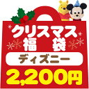 福袋1660ディズニーキャラクタークリスマス福袋 【ラッピング不可】