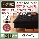 移動ラクラク 分割式 ポケットコイルマットレスベッド 脚30cm 専用敷きパッドセット クイーンサイズ クイーンベッド クイーンベット クィーン