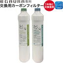 【公式ストア】【H2GAURA(エイチツー ガウラ) ガウラフィルター メンテナンス用交換カーボンフィルター2本セット】1年毎に交換推奨 2本同時交換 水素水生成器 日本製 【宅急便送料無料】 水素水サーバー