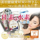 お得な2個セット 960g(約40日分) 珪素 (