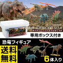 ���� �t�B�M���A �Z�b�g�y���������zDINOSAUR SOFTMODEL�@�����@�_�C�i�\�[�\�t�g���f���Z�b�g�@A�y�����y�Ή����z�{�i�I�ȃ��A���t�B�M���A�y �t�B�M�A �\�t�r �\�t�g�r�j�[�� �l�` �͌^ ������� �ߋ� �z�y���[�z