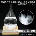 【最大ポイント17倍】【送料無料】テンポドロップ ストームグラス tp?01【あす楽対応】【即納】【天候によって結晶が変化する不思議なオブジェ/ペロカリエンテ perrocaliente tempo drop 天気管 Storm Glass 天気予報グラス tenpo drop テンボドロップ テンポグラス】