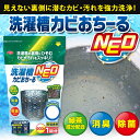洗濯槽カビおちーるNEO 600g 粉末タイプ【あ