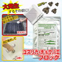 ユスリカチョウバエブロック【送料無料★メール便出荷】お風呂場やトイレに大発生する ユスリカ チョウバエ 駆除 対策 退治に!! チョウバエ駆除剤【日本製】【 1000円 ポッキリ 】