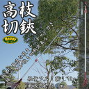 高枝切りバサミ 超軽量 伸縮 【10P03Sep16】 高枝切鋏/高枝切り のこぎり付 1.1kg 長さ5段階調節/キャッチャー機能/剪定ばさみ/剪定鋏/剪定はさみ/剪定 のこぎり/送料無料 _83111 【10P03Sep16】