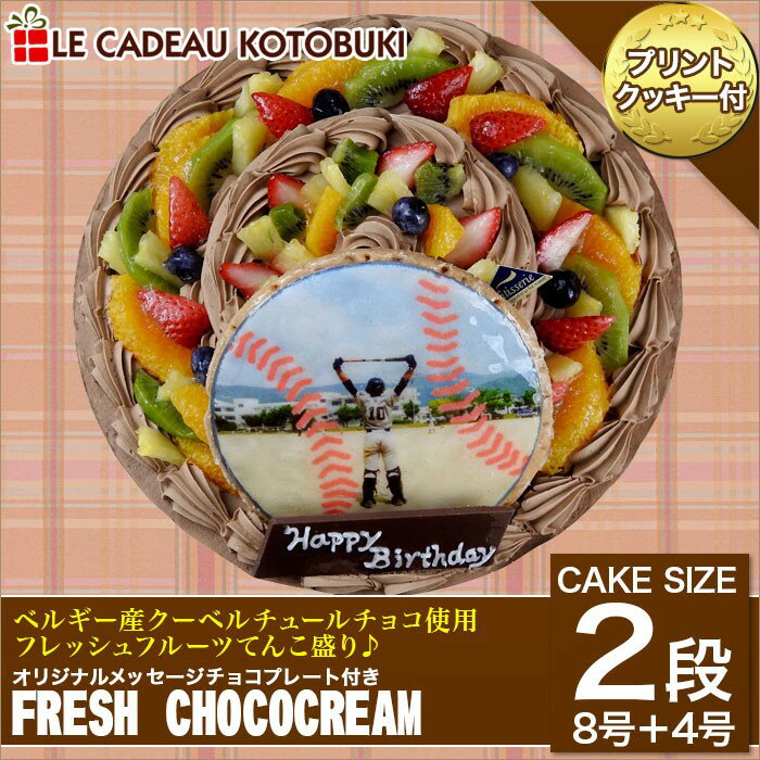 写真ケーキ フレッシュフルーツ乗せ生チョコクリームのショートケーキ 8号+4号 24cm+…...:lecadeaukotobuki:10000030