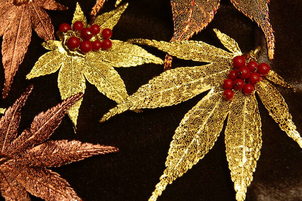 R̗tς̂܂܃y_gɁ@@ׂȂ߂ɐ^Ԃȃ|Cg@X聕Vo[[ty_ggbv