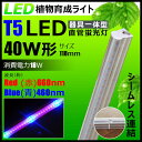 LED 植物育成ライト LED蛍光灯 40W 器具一体型 直管 T5 LED 直管蛍光灯 LED蛍光管 天井照明 間接照明 棚下照明 ショーケース照明 バーライト 取付金具付き LEDランプ 植物育成用 LED LG40-T5II ビームテック