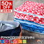 【SALE 30%OFF】トラベルポーチ filly フィリー トラベルメッシュケース 仕分けケース メッシュ テフロン 撥水 トラベル オーガナイザー 旅行用 パッキングケース ラゲッジオーガナイザー 収納ケース コンパクト