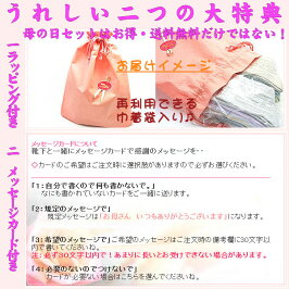 健康は足から!足の指動かせます?22〜24センチ綿の5本指靴下5足セット