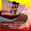 第4弾ウサコ入り12周年10足2013円レディース福袋12周年だから超詰め込みすぎ10足を2013円でウサコソックス1足＋口ゴムゆったりとうがらし加工靴下2足＋厚地のびのびソックス4足＋口ゴムゆったり靴下3足　12周年「レモコロ」の特別福袋企画