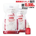 【レステモ】15800円 福袋 シルクさん愛用コスメ豪華福袋...