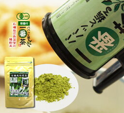 粉末茶 静岡茶 パパッと振る一番茶 振り出し<strong>容器</strong>付きセット 有機栽培茶 微粉末タイプ50g（約100杯分）特許取得！ 水だし緑茶 有機JAS 日本茶 粉茶 <strong>粉末緑茶</strong> ミル茶 パウダー 静岡県 水出し緑茶【送料無料】エピガロカテキン