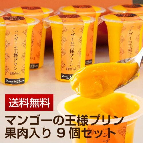 https://thumbnail.image.rakuten.co.jp/@0_mall/letoile/cabinet/pudding/mango-kaniku/9set/main9-1.jpg?_ex=500x500