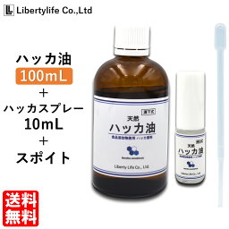 <strong>ハッカ油</strong> スプレー付 天然<strong>ハッカ油</strong>100% <strong>100ml</strong>
