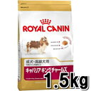 ロイヤルカナン キャバリア キングチャールズ【成犬・高齢犬用】【生後10ヵ月齢以上】1.5kg 【02P18Jun16】