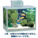 【在庫限定特価品!】アクアステップ【M】プロフィットフィルター(水槽) コトブキ 【02P18Jun16】熱帯魚・アクアリウム/水槽/水槽セット 外掛けフィルターセット 金魚飼育セット メダカ飼育セット プロフィットフィルターX1 4972814514317