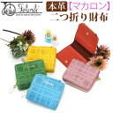 財布 レディース 二つ折り財布 折りたたみ財布 本革 牛革 レザー かわいい お財布 革財布 女性 女の子 サイフ ウォレット 箱入り プレゼント ギフト 人気 おしゃれ チェック マカロン macaron フェランド Felando 81100