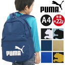 bN WjA PUMA v[} bNTbN WjAbNTbN fCpbN fB[X ̎q q lC ʊw ʋ w wN w Z   A4 22L obO  ubN AEghA s s W[ tFCY obNpbN F075487