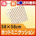 ホットカーペット ミニ クッション 58角 (スイッチ付) 58x58cm WA-58C【 電気カーペット ミニ ホットクッション 電気マット 】【 送料無料 あす楽対応 】4903620944463