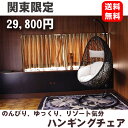 【関東限定送料無料】リゾート気分でゆったりくつろぐ!ハンギン...