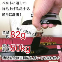 ベルト式吊り下げデジタルスケールEL10小型軽量スーツケースなどの計量に(最大50kg)