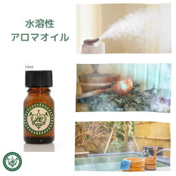 水溶性アロマ 10ml 100ml 選べる香り13<strong>種</strong> 加湿器 アロマオイル 水溶性アロマオイル 加湿器用アロマオイル サウナ ロウリュ アロマウォーター 水で溶ける 日向夏 ムスク ラベンダー グレープフルーツ ヒノキ イランイラン <strong>ローズゼラニウム</strong> ローズマリー ホワイトセージ