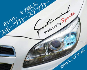 【全品P5倍 4日20時〜9日1：59時迄】 スポーツカーステッカー スポーツ sports 文字ステッカー　カッティング ステッカー おしゃれ　ドレスアップ　愛車キズ隠しなどに LP-EBSETMOJI