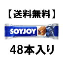 SOYJOY ブルーベリー 30g×48本 【送料無料】