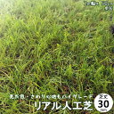 人工芝 ハイグレード リアル人工芝 芝丈30mm 幅2M×50cm 人工芝 50cm単位 切り売り ロールタイプ 18900円以上送料無料 【北海道・沖縄・一部離島は配達不可】