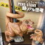 ペン立て ペンスタンド 卓上 机 デスク 恐竜 グッズ 子供 キッズスタンド ティラノサウルス 文具 ステーショナリー 2,200円