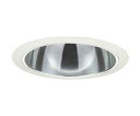 DAIKO 大光電機 LEDダウンライト(電源別売) LZD-92898LW