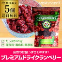 プレミアム ドライ クランベリー×5個1個あたり538円 賞味期限2019.02.08ドライフルーツ 無添加 premium dried cranberries アメリカ 長S