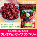プレミアム ドライ クランベリー賞味期限2019.02.08 ドライフルーツ無添加 premium dried cranberries アメリカ 長S