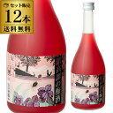 鍛高譚の梅酒 720ml 720ml×12本12本セット 送料無料 長S 梅酒 しそ 鍛高譚