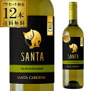 サンタ バイ サンタ カロリーナ ソーヴィニヨン ブラン 白ワイン 750ml 12本 ケース 長S
