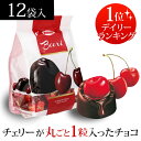 ザイニ ボエリチェリー チョコレート 150g×12袋1袋あたり369円(税別) 送料無料バレンタイン ホワイトデーチョコ イタリア チェリー 義理チョコ ボンボン ランキング1位 長S2019/11/19デイリー「ボンボンショコラランキング」第1位獲得