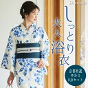 浴衣 セット レトロ 大人 浴衣セット レディース レトロモダン 古典柄 TL 大きいサイズ Lサイズ 小さいサイズ Sサイズ 白 青 水色 白地 紺色 白 紺 緑 薄紫 あじさい 花柄 縞 ストライプ