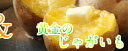 干し芋 紅はるか切甲(切り落とし)たっぷり1kg(500g×...