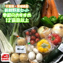 千葉県産 ・ 茨城県産 旬 詰め合わせ 産直 野菜 12品目以上 新鮮 採れたて 野菜セット 送料無料 (一部地域は別途送料がかかります)