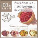 産地直送バラの花束100本(赤・ピンク・白・黄オレンジ) 柳井ダイヤモンドローズバラ 薔薇 薔薇の花束 バラの花束 ギフト プロポーズバラ 100本バラ 60本 バラ 開店祝い 誕生日 記念日 還暦祝い ばら バラ 100本 薔薇